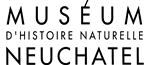 Muséum d'histoire naturelle de Neuchâtel | Logo