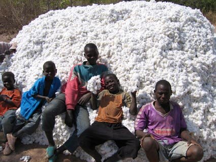 Image | ECID, Mali | Enfants & coton (c) 2006 Roger Gaillard