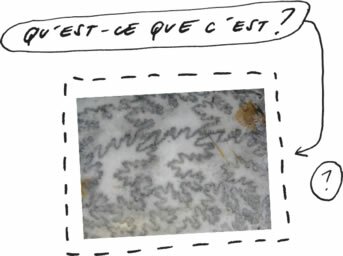 Question 03 | Qu'est-ce que c'est?