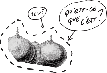 Question 04 | Qu'est-ce que c'est? Hein?
