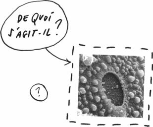 Question 05 | De quoi s'agit-il?