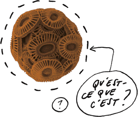 Question 08 | Qu'est-ce que c'est?