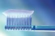 Question 08 | Brosse à dents et dentifrice