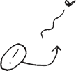 Question 11 | Illustration