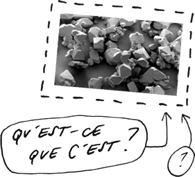 Question 12 | Qu'est-ce que c'est?