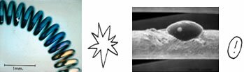 Question 15 | Filament d'ampoule et agrandissement