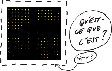 Question 12 | Qu'est-ce que c'est? Hein?